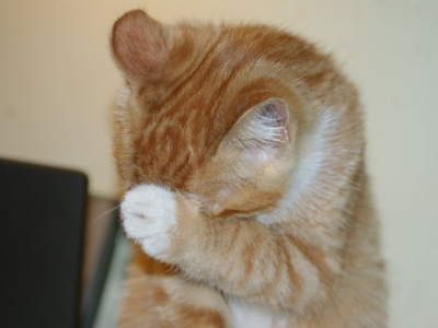 1475908590666386.png 猫咪洗脸.png